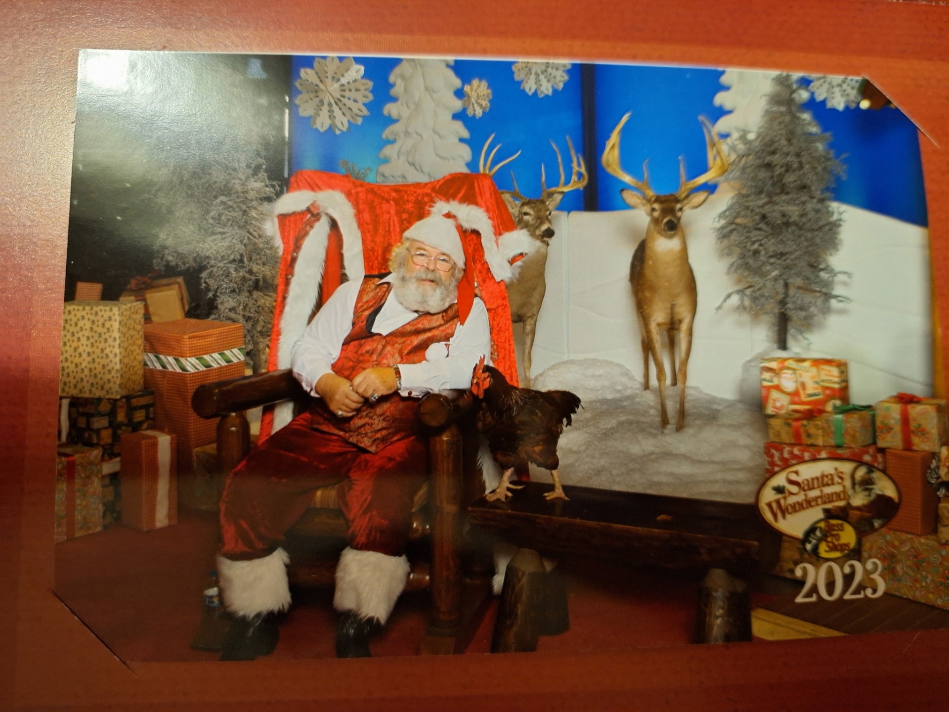 Family Christmas moment